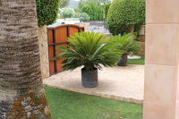 Villa Sa Pedruscada