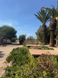 Naturstein-Finca mit eigener Bodega – eine Immobilie für viele Lebensträume