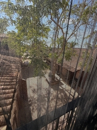 Naturstein-Finca mit eigener Bodega – eine Immobilie für viele Lebensträume