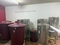 Naturstein-Finca mit eigener Bodega – eine Immobilie für viele Lebensträume