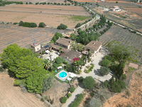 Naturstein-Finca mit eigener Bodega – eine Immobilie für viele Lebensträume