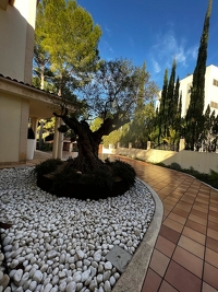 Wunderschöne Villa mit großer Tiefgarage