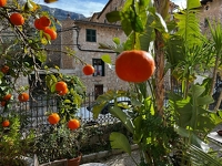 Historische Stadtvilla mit eigener Berghütte und großem Grundstück in Sichtweite