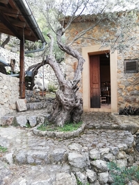 Historische Stadtvilla mit eigener Berghütte und großem Grundstück in Sichtweite