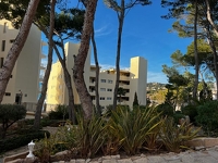 Traumapartment in erster Meereslinie in Santa Ponsa / Costa de la Calma